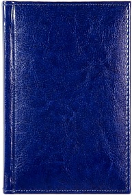 Ежедневник недатированный А6, Rich, синий