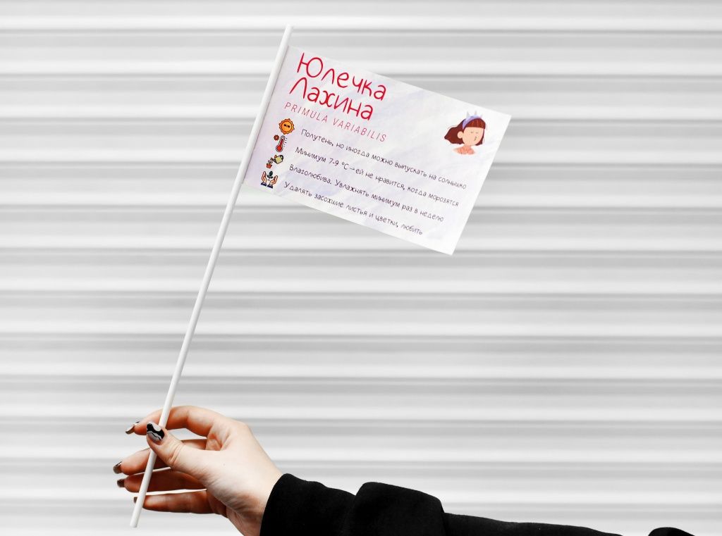 2.jpg 2.jpg