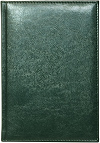 Ежедневник недатированный А5, Rich, зеленый