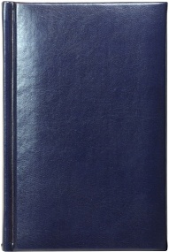 Ежедневник недатированный А6, Image, синий