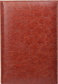 Ежедневник недатированный А5, Savanna, коричневый