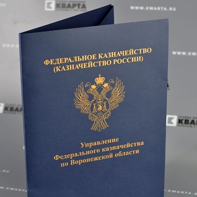 Папка формата А4, «Казначейство России»