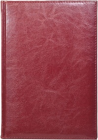 Ежедневник недатированный А5, Rich, бордовый