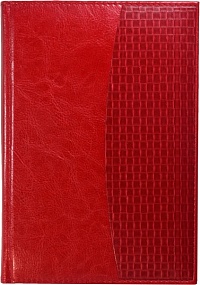 Ежедневник недатированный А5, Rich, красный, комбинированный