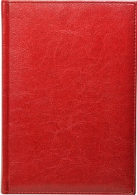 Ежедневник недатированный А5, Rich, красный