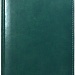 Ежедневник недатированный А5 Esprit зеленый