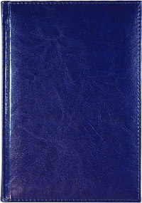 Ежедневник недатированный А5, Rich, синий