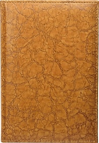 Ежедневник недатированный А5, Savanna, бежевый