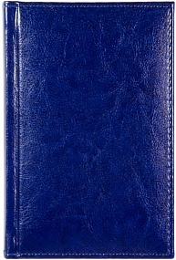Ежедневник недатированный А6, Rich, синий